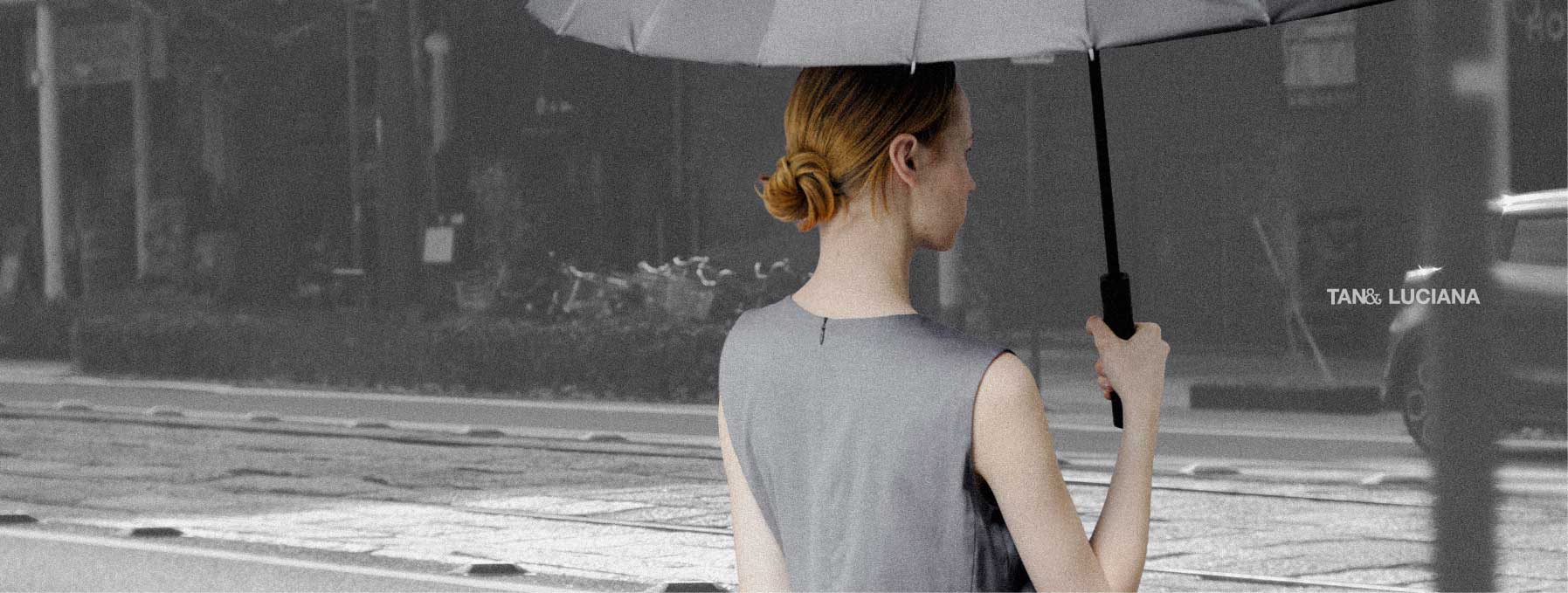 Banner Title