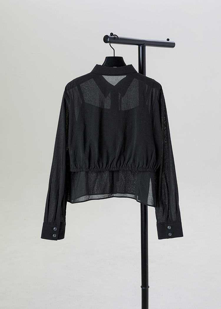 Sheer Shirt
