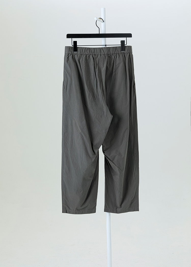 Pleated Pants