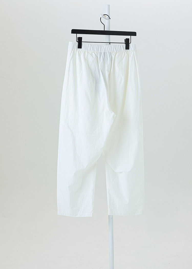 Pleated Pants