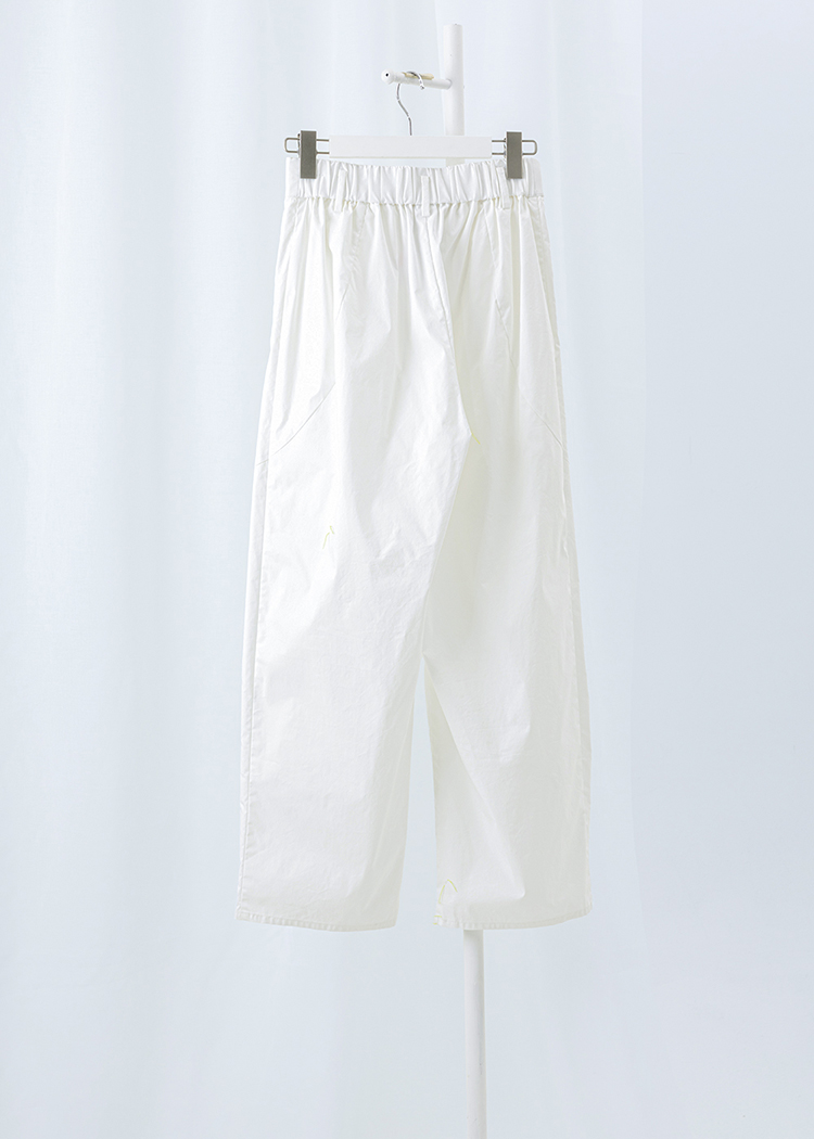 Pleated Pants