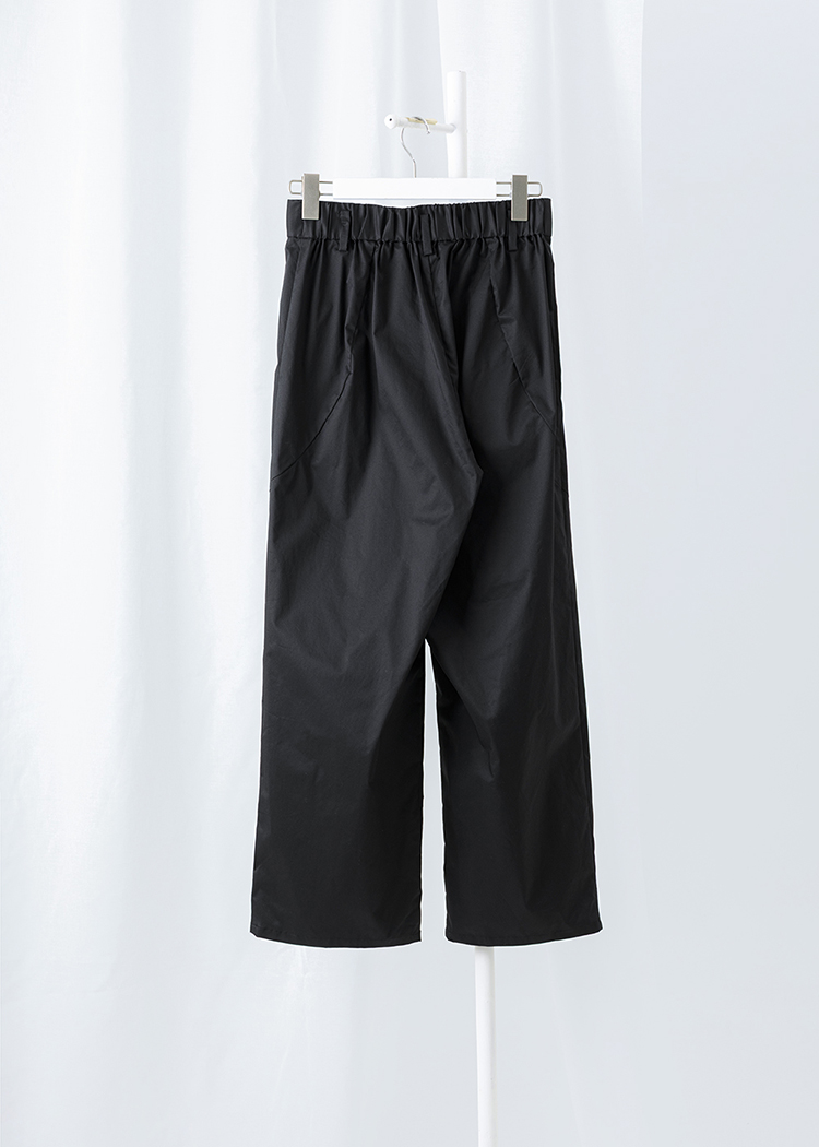 Pleated Pants